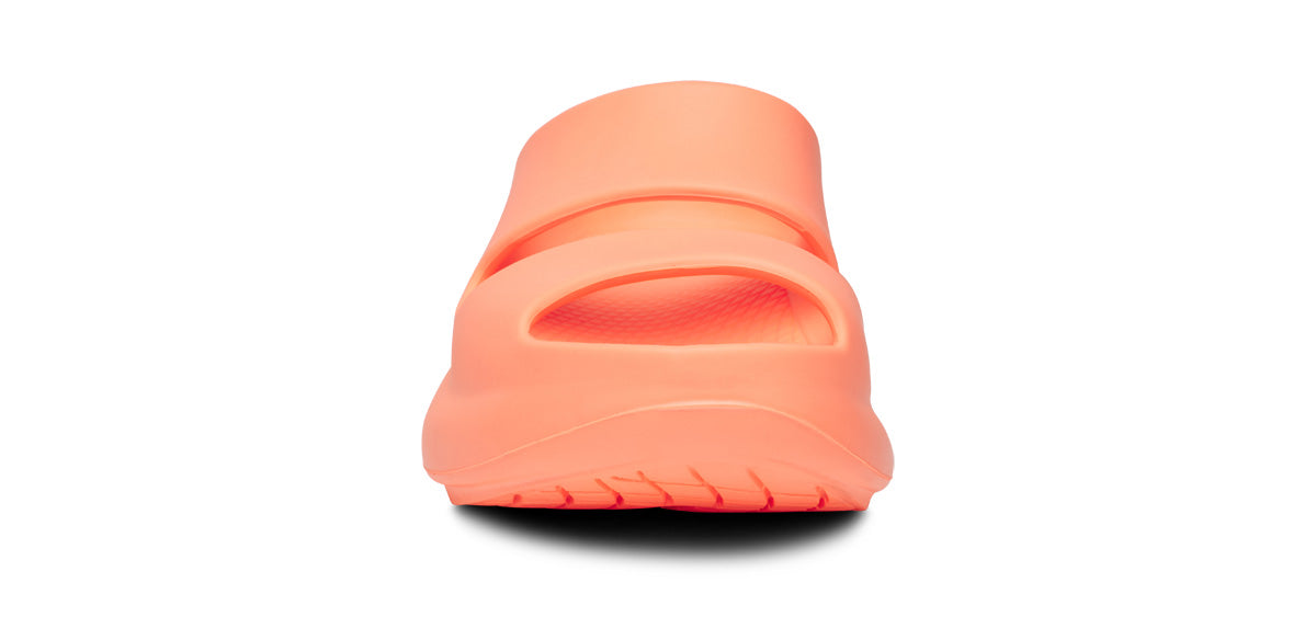 1700SUNBUR_shot3.jpg